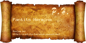 Pantits Hermina névjegykártya